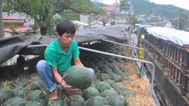 Trung Quốc tiếp tục lùi thời gian khôi phục hoạt động trao đổi hàng hóa cư dân biên giới