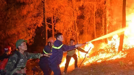 Đêm nay, miền Trung đổ mưa, bớt nỗi lo cháy rừng trở lại