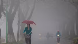 Dự báo thời tiết: Mưa phùn, nồm ẩm ướt ở Bắc bộ còn kéo dài vài tháng tới