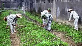 Không nơi cư trú rõ ràng có được xem xét tha tù trước thời hạn có điều kiện?