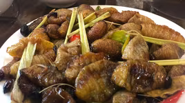 Khi sâu trở thành thức khoái khẩu