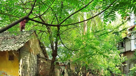 Giữ lại dòng chảy lịch sử văn hóa các con sông định danh cho Hà Nội (3): Phải cứu bằng được những gì chưa mất 