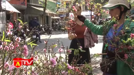 Tổ chức giao thông phục vụ chợ hoa Xuân 2023