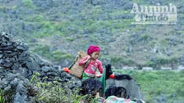 Những đôi tay bé bỏng gọi nhịp xuân bên đèo Mã Pì Lèng