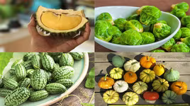 [ẢNH] Lạc vào thế giới tí hon với loạt rau củ quả có kích cỡ siêu nhỏ