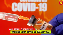 [CLIP] Quy trình thử nghiệm vaccine ngừa Covid-19 của Việt Nam