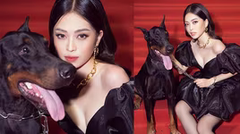 [ẢNH] Chuyện lạ mà quen: Sao Việt đua nhau đưa thú cưng lên thảm đỏ 