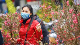 [ẢNH] Ngắm hoa ‘đẹp - độc - lạ’ ở chợ hoa Quảng An ngày giáp Tết 