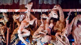 [ẢNH] Bên trong những khu mua sắm độc lạ nhất thế giới