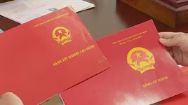 Nhiều chính sách mới nổi bật chính thức có hiệu lực từ tháng 12-2022