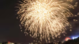 Ngắm pháo hoa tuyệt đẹp trên bầu trời Hà Nội đêm Giao thừa 