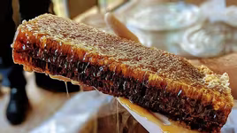 Loại mật ong đắt nhất thế giới, được mệnh danh là "Mật ong của các vị thần"