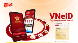 Cách kiểm tra điểm của giấy phép lái xe trên điện thoại