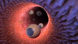 Robot siêu nhỏ mới đưa thuốc vào đúng vị trí trong cơ thể