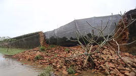 Khẩn trương khắc phục đoạn tường bị sập trong Hoàng thành Huế 