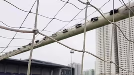 Kết quả loạt trận chiều thứ Tư 23-12