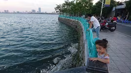 Nước hồ Tây có dấu hiệu ô nhiễm, Bộ Tài nguyên Môi trường đề nghị cải thiện ngay