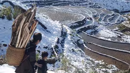 Bắc bộ sắp đón đợt rét sâu nhất vào cuối tuần, vùng núi xuất hiện băng tuyết 