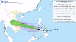 Bão Kalmaegi giật cấp 17 còn cách Quy Nhơn khoảng 300km