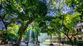 Ngắm Hà Nội đẹp như tranh vẽ trong nắng Thu