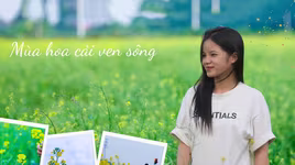 Ngắm cánh đồng hoa cải vàng tuyệt đẹp bên sông ngoại thành Hà Nội