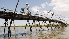 Dập dìu sông nước Quảng Nam