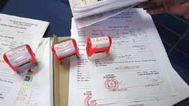 Hành vi mua bán giấy khám sức khỏe giả có thể bị truy cứu trách nhiệm hình sự