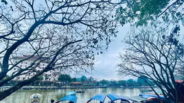 Đã hạ thủy khoảng 2 nghìn xuồng đò trên tổng số hơn 4 nghìn chiếc hiện có để chuẩn bị phục vụ du khách thời điểm sau ngày 16-2