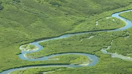 Con sông hẹp nhất thế giới, có đoạn chỉ rộng 4cm