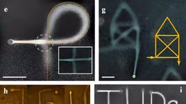 Trung Quốc hợp tác, làm ra bút viết được trong nước