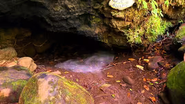 Giải mã hang tử thần khiến mọi sinh vật bước vào tử vong ngay lập tức