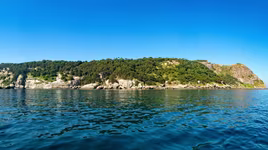 Hòn đảo tuyệt đẹp, không ai dám đến vì đầy rắn kịch độc