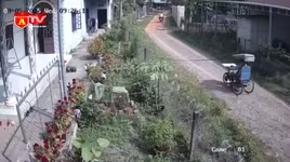 Bắt đối tượng cướp giật tài sản của người khuyết tật 