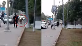 Sư tử sổng chuồng gây náo loạn đường phố Pakistan