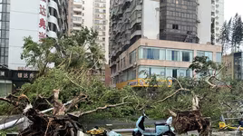 Ít nhất 2 người thiệt mạng do bão Yagi ở Trung Quốc