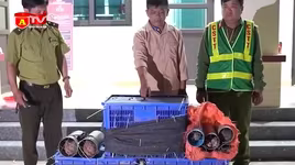 Phát hiện xe máy chở hàng trăm động vật hoang dã