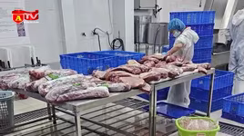 Cận cảnh chiêu “phù phép” thịt trâu giá rẻ thành bò Wagyu siêu đắt đỏ