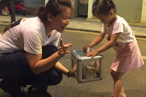 Thiện nguyện qua tiếng hát