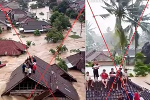 Xử lý nghiêm việc tung tin giả, dùng AI ngụy tạo về lũ lụt ở miền Trung