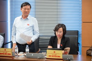 Nữ ĐBQH đề nghị tăng mức xử phạt vi phạm giao thông lên tối đa 200 triệu đồng