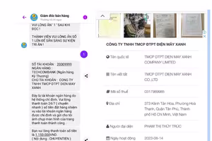 Mạo danh Điện máy Xanh để lừa đảo