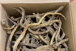 Kiểm tra, bắt giữ hơn 20 tấn cây dược liệu không rõ nguồn gốc, xuất xứ