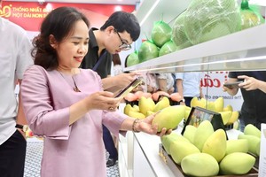 Mở cửa phòng trưng bày “Tinh hoa trái cây Việt”