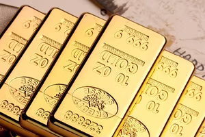 Nữ Chủ tịch Công ty Vàng Việt Nam bị truy tố trong vụ buôn lậu hơn nửa tấn vàng 