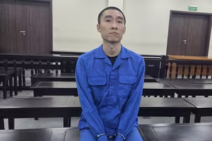 Cựu nhân viên viễn thông lừa đảo bằng mánh đầu tư đường truyền Internet