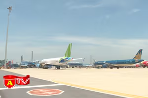 Các hãng hàng không khai thác gần 1.000 chuyến/ngày dịp Tết