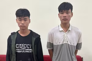 Bắt nhóm tội phạm gây 8 vụ trộm cắp trong đền, chùa