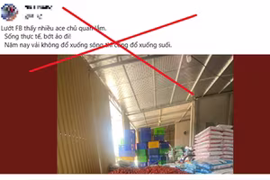 Xử lý 2 trường hợp đăng tải thông tin sai sự thật về vải thiều Bắc Giang