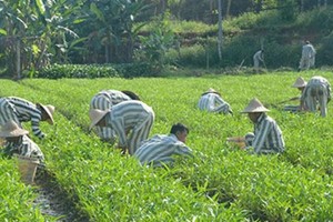 Bộ Công an đề xuất hàng loạt quy định mới về chuyển giao người đang chấp hành án tù