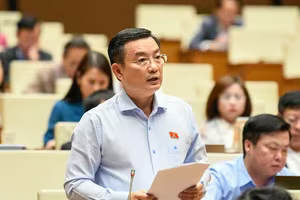 ĐBQH: Đầu tư mở rộng bệnh viện nhưng không kiểm soát nguyên nhân gây bệnh, người dân sẽ sống lâu nhưng sống bệnh